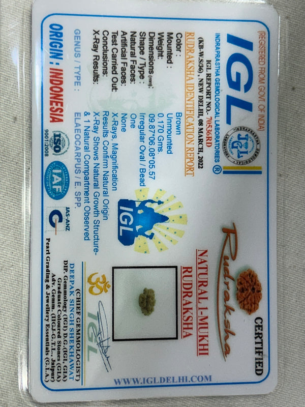 1 Mukhi Indonesia Rudraksha with Lab Certificate ( 9MM) IGL certificate