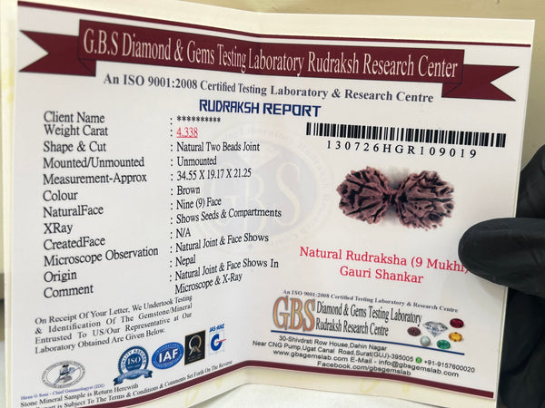 Natural 9 Mukhi Nepali Gauri Shankar Rudraksha – 34.55 mm