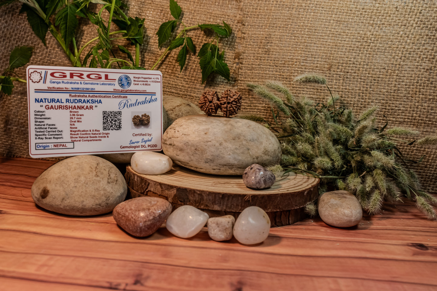 Gauri Shankar Certified Rudraksha