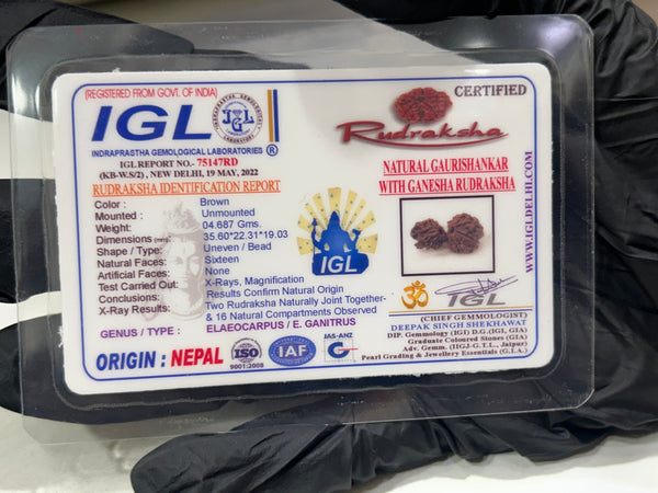 Natural Gauri Shankar Ganesh Rudraksha with Lab Certificate – (35mm)