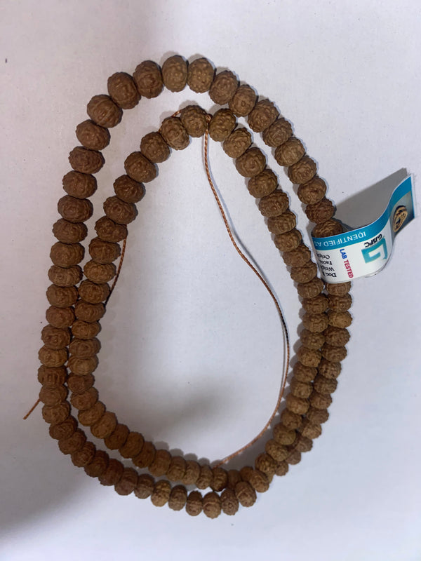 Seven Mukhi Indonesian Rudraksha Mala with Lab Certificate