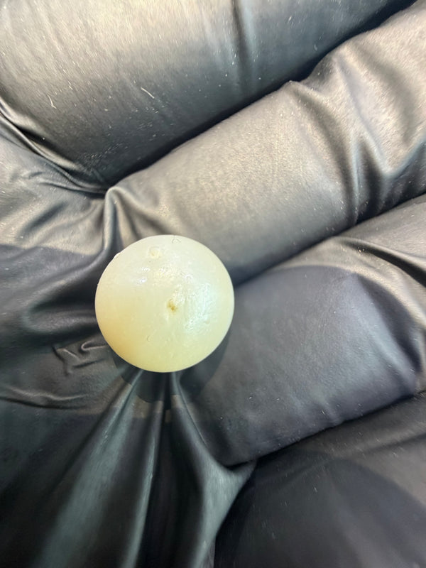 Natural South Sea Pearl – 13.4 Carat | Premium Australian Sea Pearl