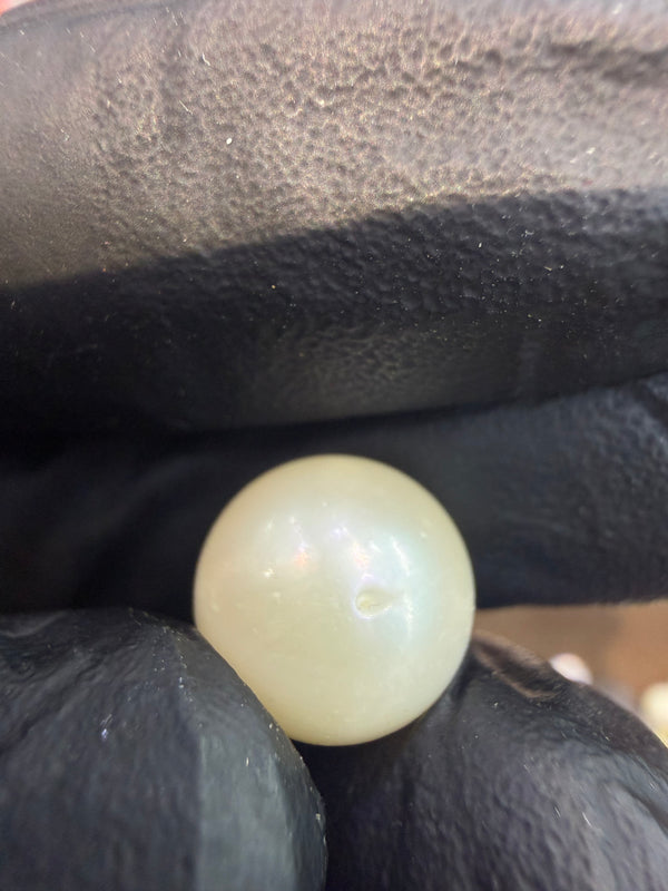 Natural South Sea Pearl – 12.4 Carat | Elegant Premium Sea Pearl