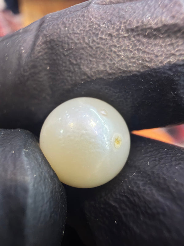 Natural South Sea Pearl – 7.99 Carat | Elegant Premium Sea Pearl