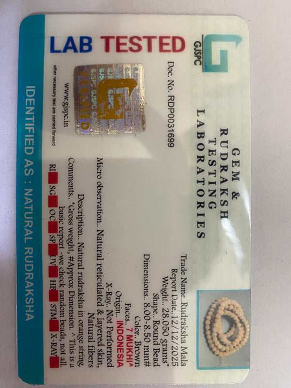 Seven Mukhi Indonesian Rudraksha Mala with Lab Certificate