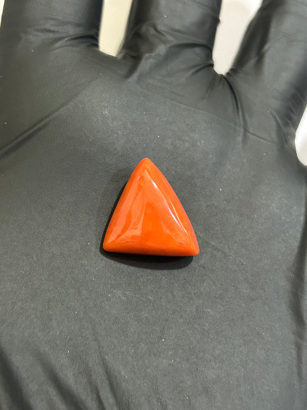 100% Natural Triangle Moonga (Red Coral) – 14 Ratti