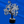 Sphatik Crystal Tree – Clear Quartz Vastu & Feng Shui Tree | Healing Energy, Prosperity & Positive Vibes Home Décor
