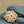 100% Natural 7 Mukhi Rudraksha (20 MM)