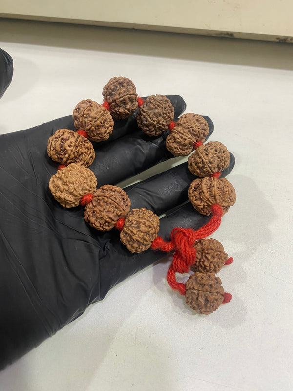 100% Natural 7 Mukhi Nepali Rudraksha Bracelet (big beads)