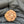 Natural 7 Mukhi Nepali Rudraksha with Lab Certificate and X-Ray – (24.02mm)