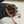 100% Natural 7 Mukhi Nepali Rudraksha Bracelet