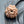 8 Mukhi Nepali Rudraksha with Lab Certificate – 20mm