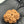 5 Mukhi Nepali Rudraksha with Lab Certificate – 25mm