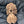 18 Mukhi Gauri Shankar Rudraksha with Lab Certificate – (42mm)