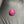 100% Natural MysoreRuby (Manik) – 8 Ratti