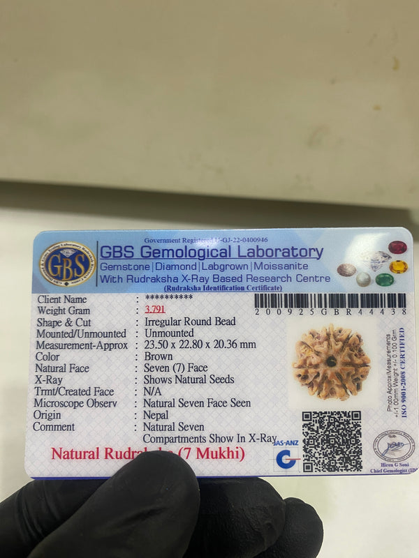 7 Mukhi Nepali Rudraksha (23 mm) with Lab certificate