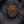 13 Mukhi Nepali Rudraksha with Lab Certificate & X-Ray– 30mm