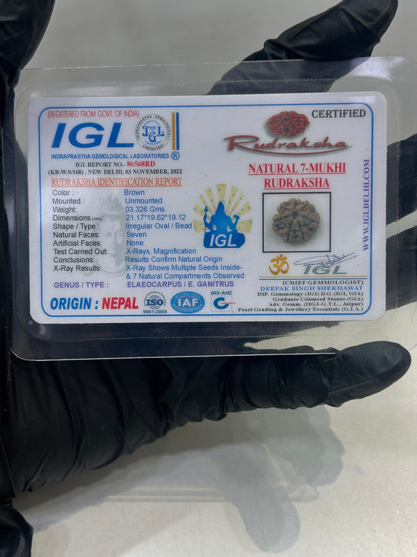 8 Mukhi Nepali Rudraksha with Lab Certificate – 20mm