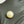 100% Natural White Pearl (Moti) – (15.5 Ratti)