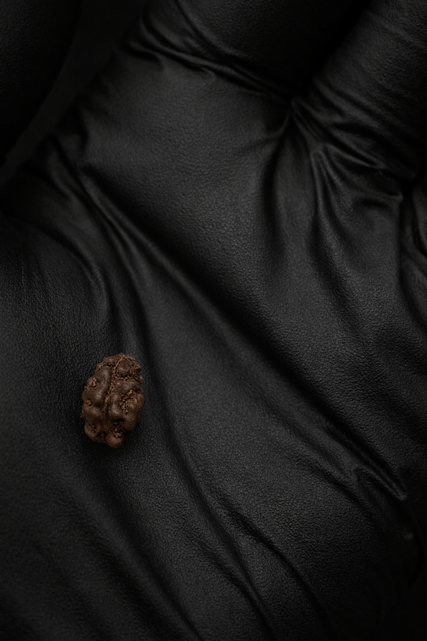 1 Mukhi Indonesia Rudraksha with Lab Certificate ( 9MM)
