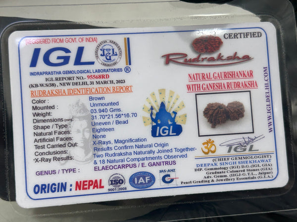 Gauri Shankar Ganesh Rudraksha with Lab Certificate and Xray– (31mm)
