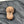 Natural 21 Mukhi Indonesian Rudraksha with Lab Certificate and Xray – (28mm)
