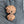 Gauri Shankar Ganesh Rudraksha with Lab Certificate and Xray– (31mm)