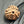 3 Mukhi Nepali Rudraksha with Lab Certificate – 15mm