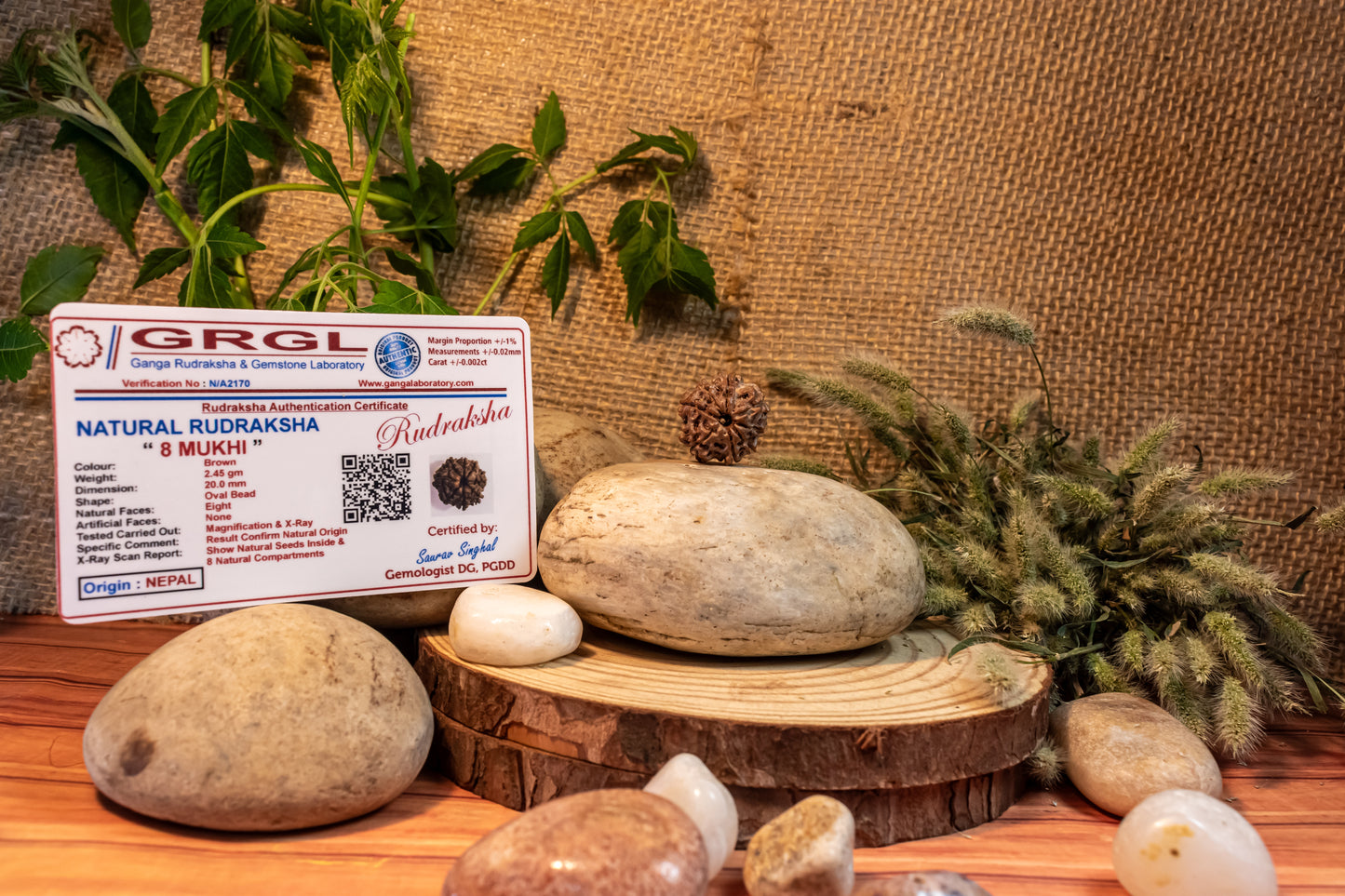 8 Mukhi Lab Certified Rudraksha