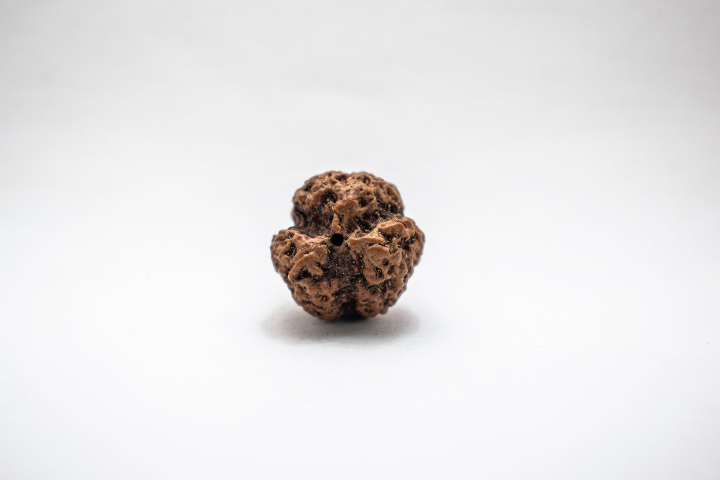 3 Mukhi Lab Certified Rudraksha