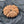 14 Mukhi Nepali Rudraksha with Lab Certificate – (37mm)