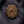12 Mukhi Nepali Rudraksha with Lab Certificate & X-Ray – 30mm