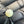 Natural South Sea Pearl – 13.4 Carat | Premium Australian Sea Pearl