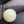Natural South Sea Pearl – 11.5 Carat | Premium Sea Pearl