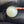 Natural South Sea Pearl – 11.5 Carat | Premium Sea Pearl