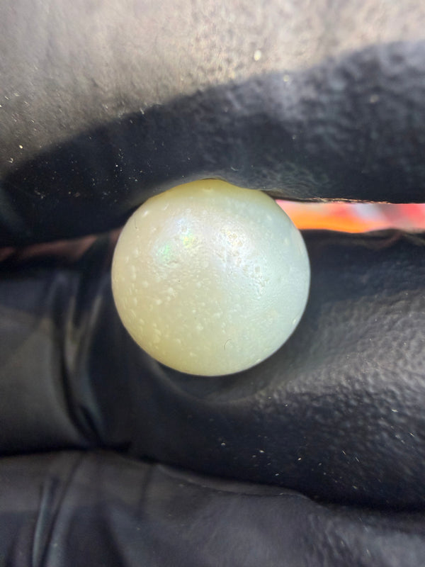 Natural South Sea Pearl – 11.5 Carat | Premium Sea Pearl