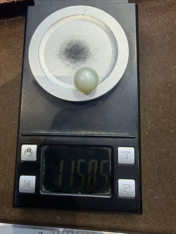 Natural South Sea Pearl – 11.5 Carat | Premium Sea Pearl