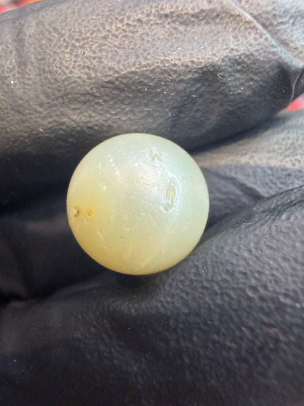Natural South Sea Pearl – 13.8 Carat | Premium Lustre Pearl