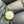 Natural South Sea Pearl – 7.99 Carat | Elegant Premium Sea Pearl