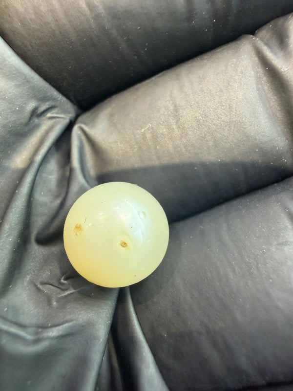 Natural South Sea Pearl – 7.99 Carat | Elegant Premium Sea Pearl
