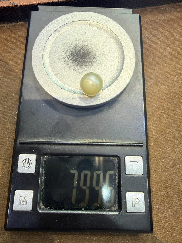 Natural South Sea Pearl – 7.99 Carat | Elegant Premium Sea Pearl