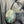 100% Natural Irani Firoza – 19.52 Carat