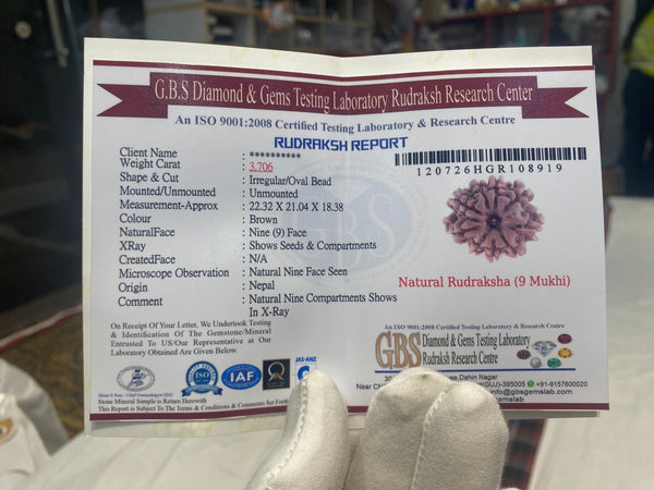 Natural 9 Mukhi Rudraksha – 22 mm | 3.7 g | Oval Shape | With Lab Certificate