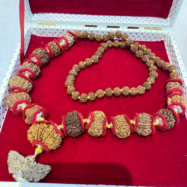 1 to 14 Mukhi Siddh Rudraksha Mala – Complete Rudraksha Collection | Natural Siddh Rudraksha Mala