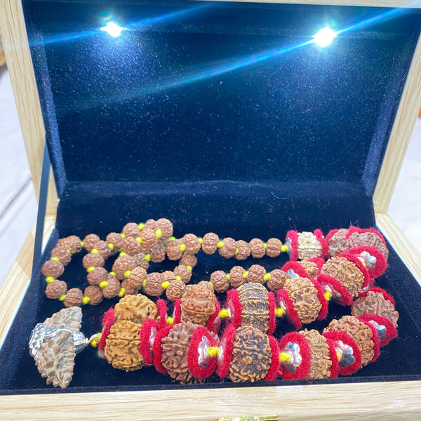 1 to 14 Mukhi Siddh Rudraksha Mala – Complete Rudraksha Collection | Natural Siddh Rudraksha Mala