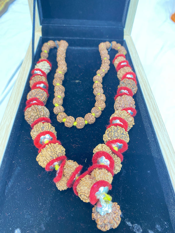 1 to 14 Mukhi Siddh Rudraksha Mala – Complete Rudraksha Collection | Natural Siddh Rudraksha Mala