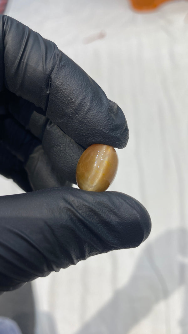 100% Natural Premium Cat’s Eye Stone (Lehsunia) – 12.8 Carat | 100% Original High-Quality Gemstone