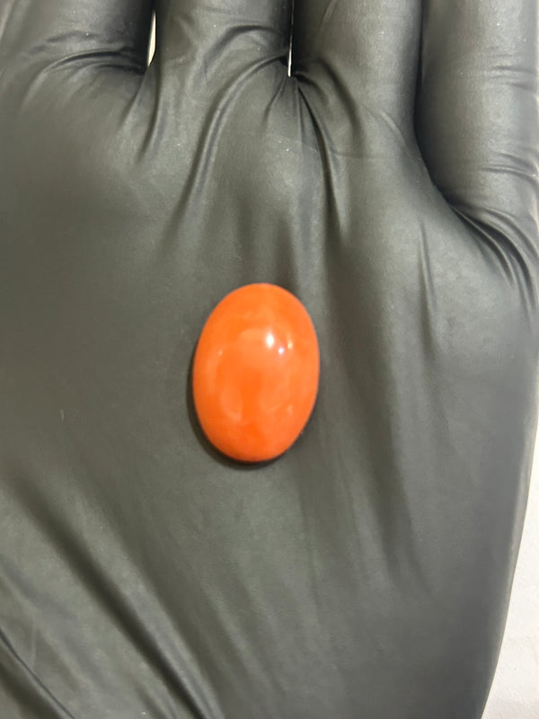 Natural Japanese Moonga (Red Coral) 14 Ratti