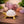 Sphatik (Clear Quartz) Turtle with Cable – Natural Crystal Turtle Decorative Piece