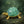 Green Aventurine Crystal Turtle with Cable – Natural Lucky Stone Turtle for Décor